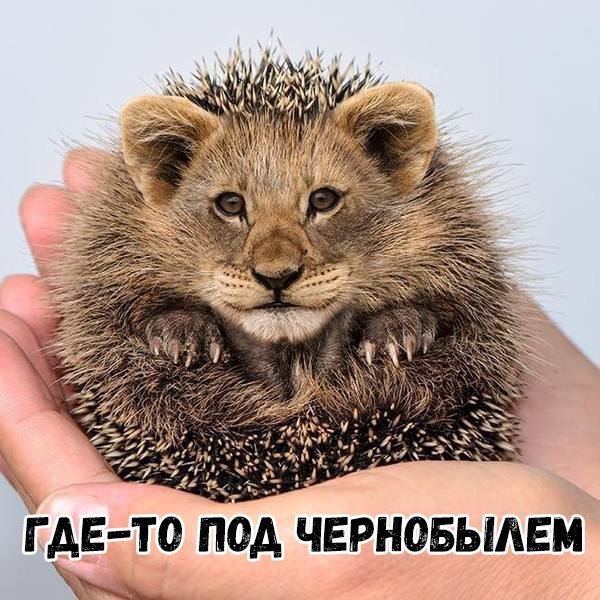 Г АЕ ТО ПОА ЧЕРНОБЫАЕМ