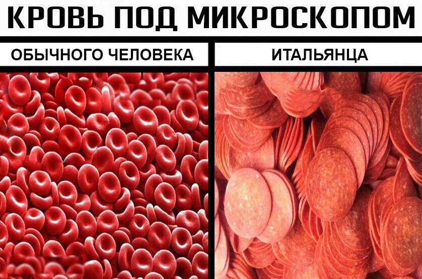КРОВЬ ПОД МИКРОСКОПОМ ОБЫЧНОГО ЧЕЛОВЕКА ИТАЛЬЯНЦА _ б КЦЗГЁ іі і _аё хай