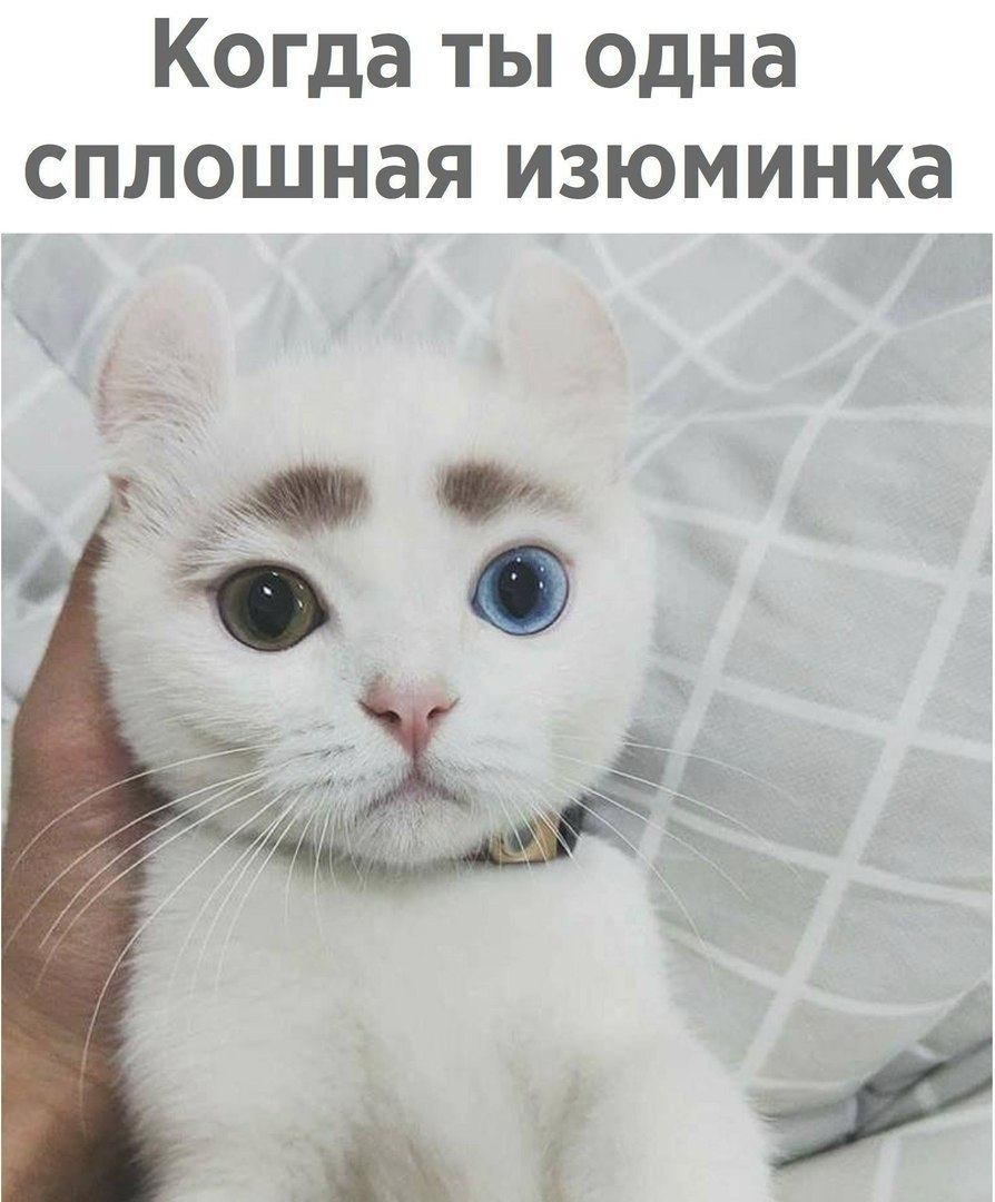Когда ты одна сплошная изюминка
