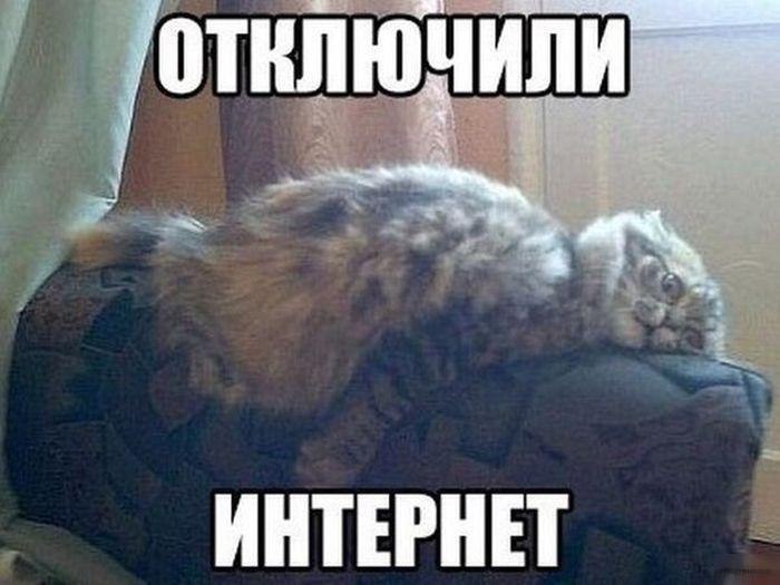 ИНТЕРНЕТ