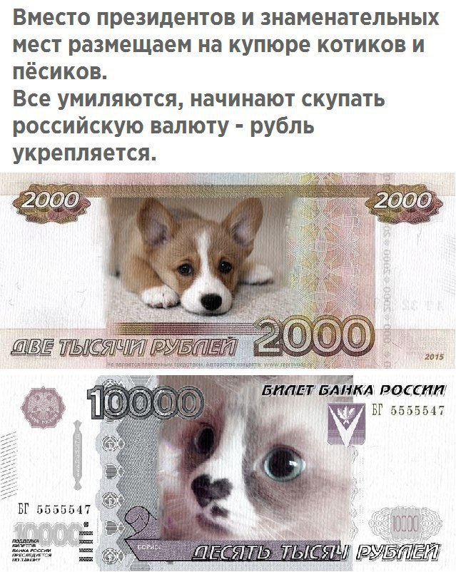 Вместо президентов и знаменательных мест размещаем на купюре котиков и пёсиков Все умиляются начинают скупать российскую валюту рубль укрепляется