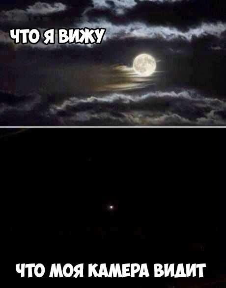 ЧЮ МОЯ КАМЕРА видит