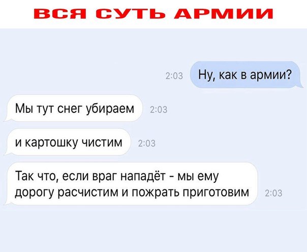 ВСЯ СУТЬ АРМИИ Ну как в армии Мы тут снег убираем и картошку чистим Так что если враг нападёт мы ему дорогу расчистим и пожрать приготовим