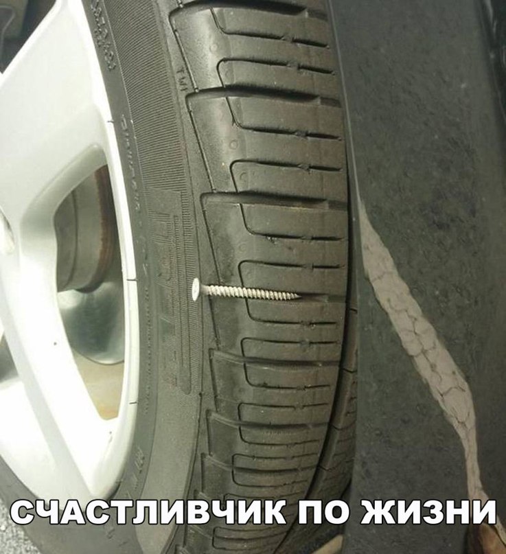 ЁЧАСТЛИВЧИК ПО ЖИЗНИ