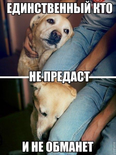 Единетънныйднт с