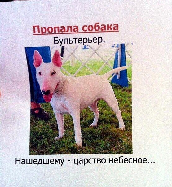 Бультевьер __ іі Нашедшему царство небесное