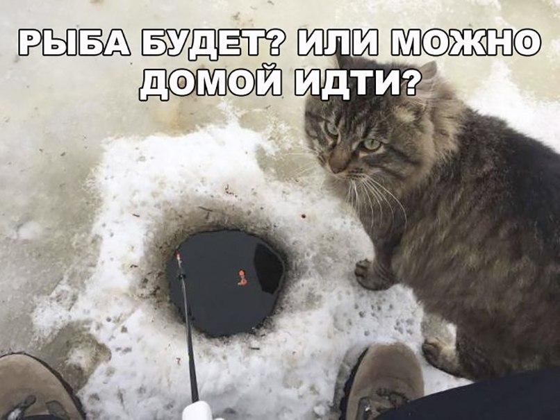ЁЁ ИЛШ 63