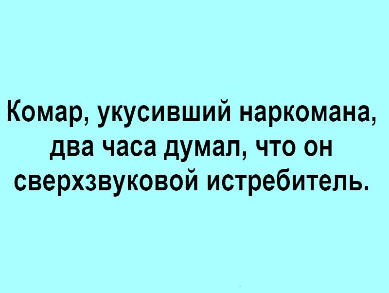 Комар укусивший наркомана два часа думал что он сверхзвуковой истребитель