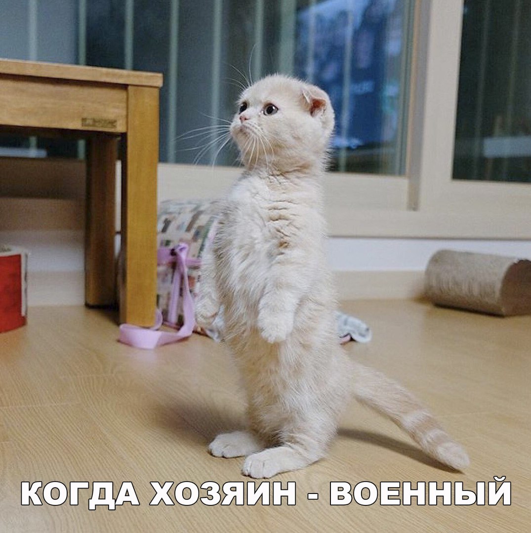 ЭЁПЁЗЫЙ Ё Жшвд за