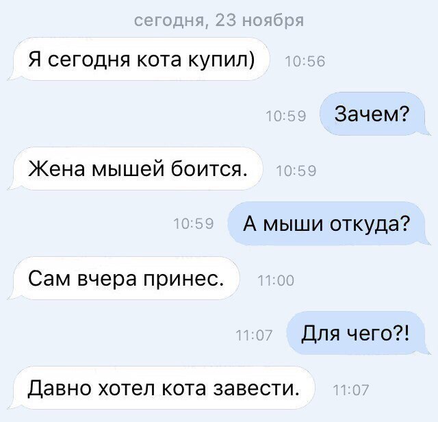 Я сегодня кота купил Зачем Жена мышей боится А мыши откуда Сам вчера принес Для чего Давно хотел кота ЗЭВЭСТИ