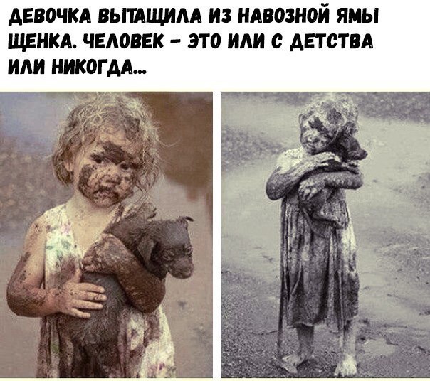 АЕВОЧКА ВЫИЩИАА ИЗ НАВОЗНОЙ ЯМЫ ЩЕНКА ЧЕЛОВЕК ЭТО или О ДЕТСТВА ИАИ НИКОГДА