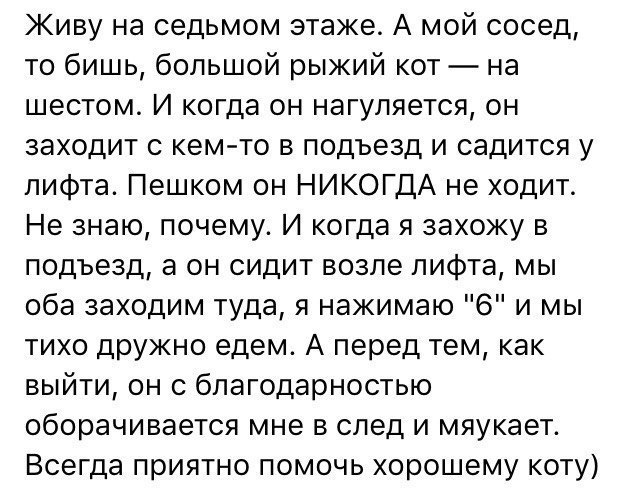 Живу на седьмом этаже А мой сосед то бишь большой рыжий кот на шестом И когда он нагуляется он заходит с кем то в подъезд и садится у лифта Пешком он НИКОГДА не ходит Не знаю почему И когда я захожу в подъезд а он сидит возле лифта мы оба заходим туда я нажимаю 6 и мы тихо дружно едем А перед тем как выйти он с благодарностью оборачивается мне в след и мяукает Всегда приятно помочь хорошему коту