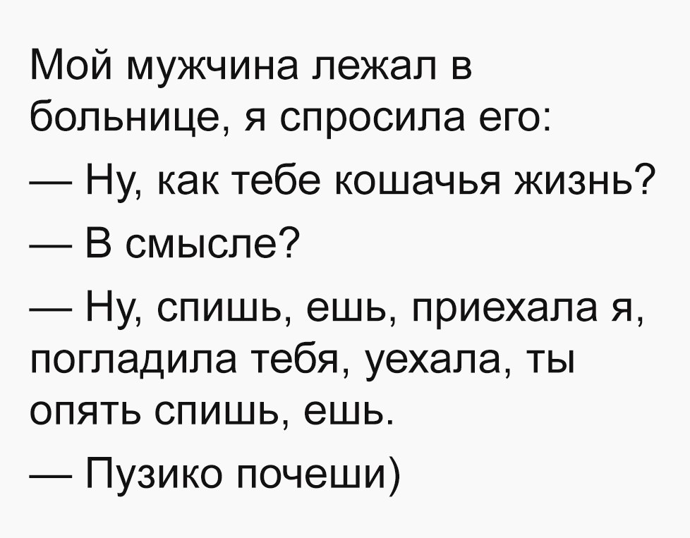 Мой мужчина лежал в больнице я спросила его Ну как тебе кошачья жизнь В смысле Ну спишь ешь приехала я погладила тебя уехала ты опять спишь ешь Пузико почеши