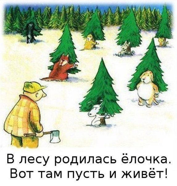 В лесу родилась ёлочка Вот там пусть и живёт