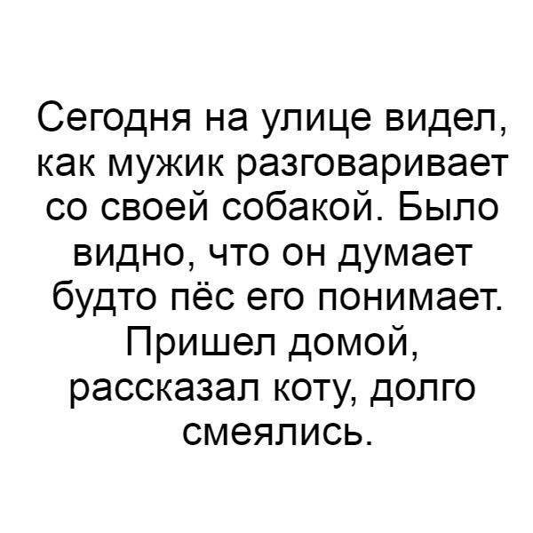 Сегодня на улице видел как мужик разговаривает со своей собакой Было видно что он думает будто пёс его понимает Пришел домой рассказал коту долго смеялись