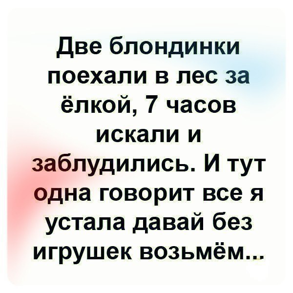 Две блондинки поехали в лес за ёлкой 7 часов искали и заблудились И тут одна говорит все я устала давай без игрушек возьмём