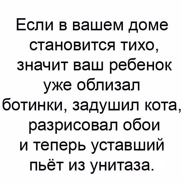Если в вашем доме становится тихо значит ваш ребенок уже облизал ботинки задушил кота разрисовал обои и теперь уставший пьёт из унитаза