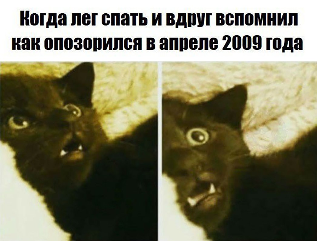 Когда ПВГ спать И ВДПШ вспомнил наи ВППЗППИПБЯ В апреле 2009 года