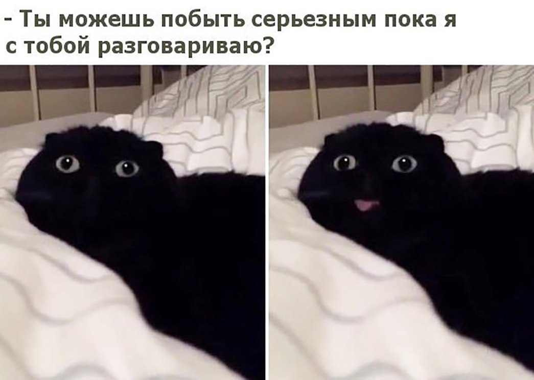 Ты можешь побыть серьезным пока я с тобой разговариваю в ги