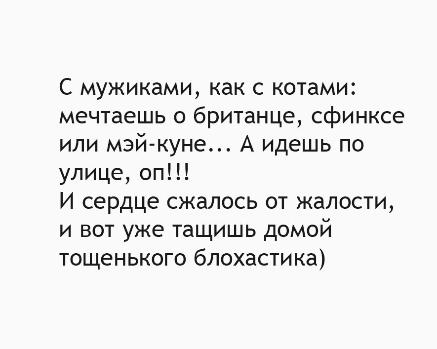 С мужиками как с котами мечтаешь о британце сфинксе или мэй куне А идешь по улице оп И сердце сжалось от жалости и вот уже тащишь домой тощенького блохастика