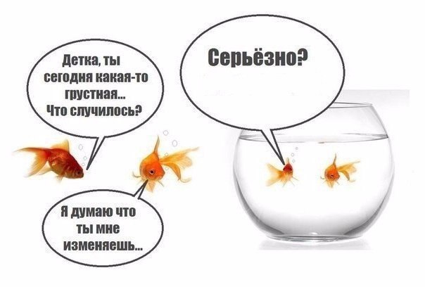 дети ты ЕПЪЁЗШЁ сегодня канал тп Митин ВШШШЮЪР и думаю итп ты мив изменить