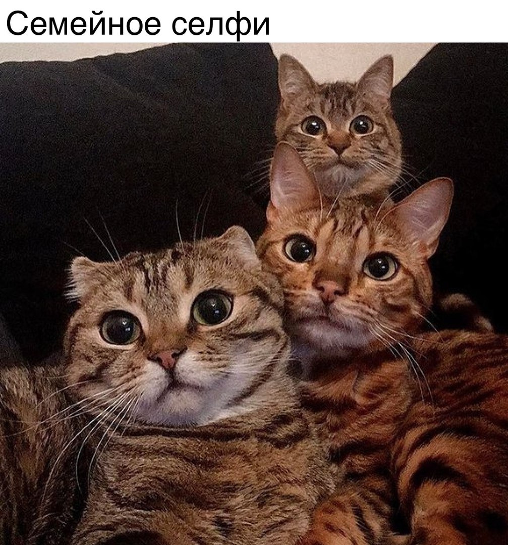 и Семейное сеп
