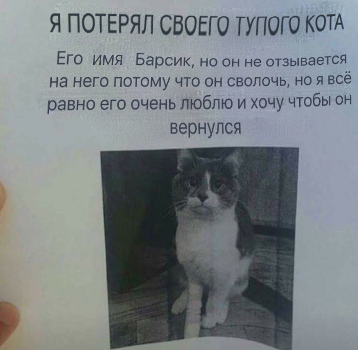 Я ПОТЕРЯЛ СВОЕГО ТУПОГО КОТА ЕГО ИМЯ Барсик но он не отзывается на него потому что он сволочь но я всё равно его очень люблю и хочу чтобы он вернулся
