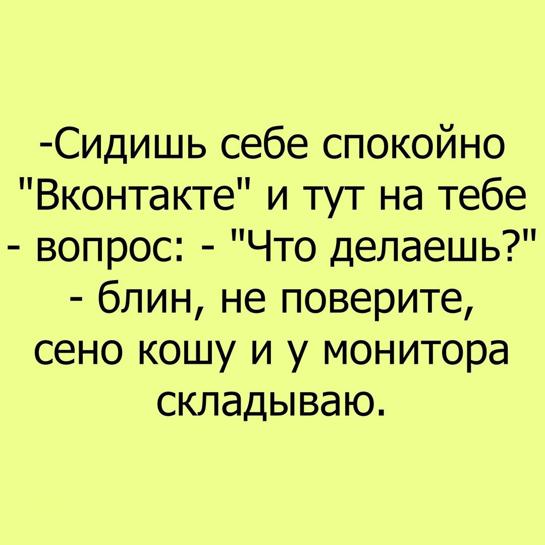 Сидишь себе спокойно Вконтакте и тут на тебе вопрос Что делаешь блин не поверите сено кошу и у монитора складываю