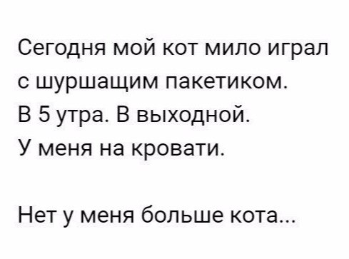 Сегодня мой кот мило играл с шуршащим пакетиком В 5 утра В выходной У меня на кровати Нет у меня больше кота
