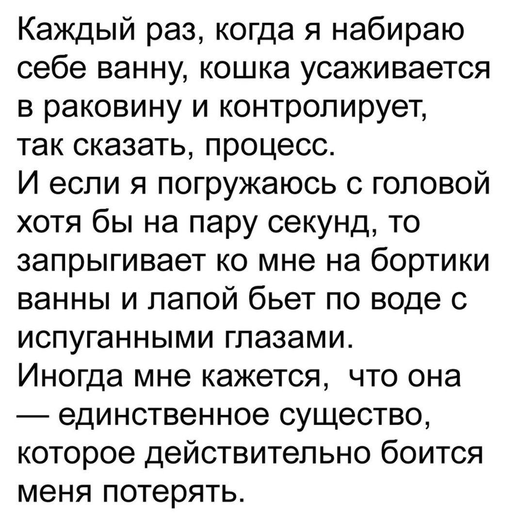 Каждый раз когда я набираю себе ванну кошка усаживается в раковину и контролирует так сказать процесс И если я погружаюсь с головой хотя бы на пару секунд то запрыгивает ко мне на бортики ванны и лапой бьет по воде с испуганными глазами Иногда мне кажется что она единственное существо которое действительно боится меня потерять