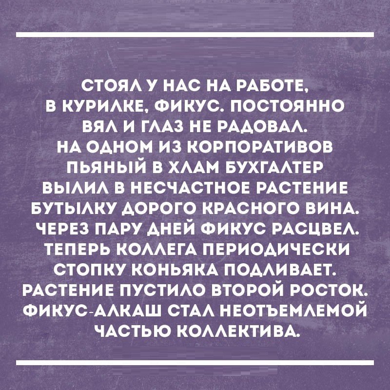 стоя у НАС НА РАБОТЕ в курижв Фикус постоянно вы и им не РААОВАА НА 0Аном из КОРПОРАТИВОВ пьяный в ХААм БУХГААТЕР выи в НЕСЧАСТНОЕ РАСТЕНИЕ БУТЫАКУ АОРОГО КРАСНОГО ВИНА чврвз ПАРУ АНЕЙ Фикус РАСЦВЕА твпврь КОААЕГА пври0Аичвски стопку конья КА ПОААИ ВАЕТ РАСТЕНИЕ ПУСТИАО второй росток ФИКУС ААКАШ стАА НЕОТЪЕМАЕМОЙ ЧАСТЬЮ КОААЕКТИ ВА