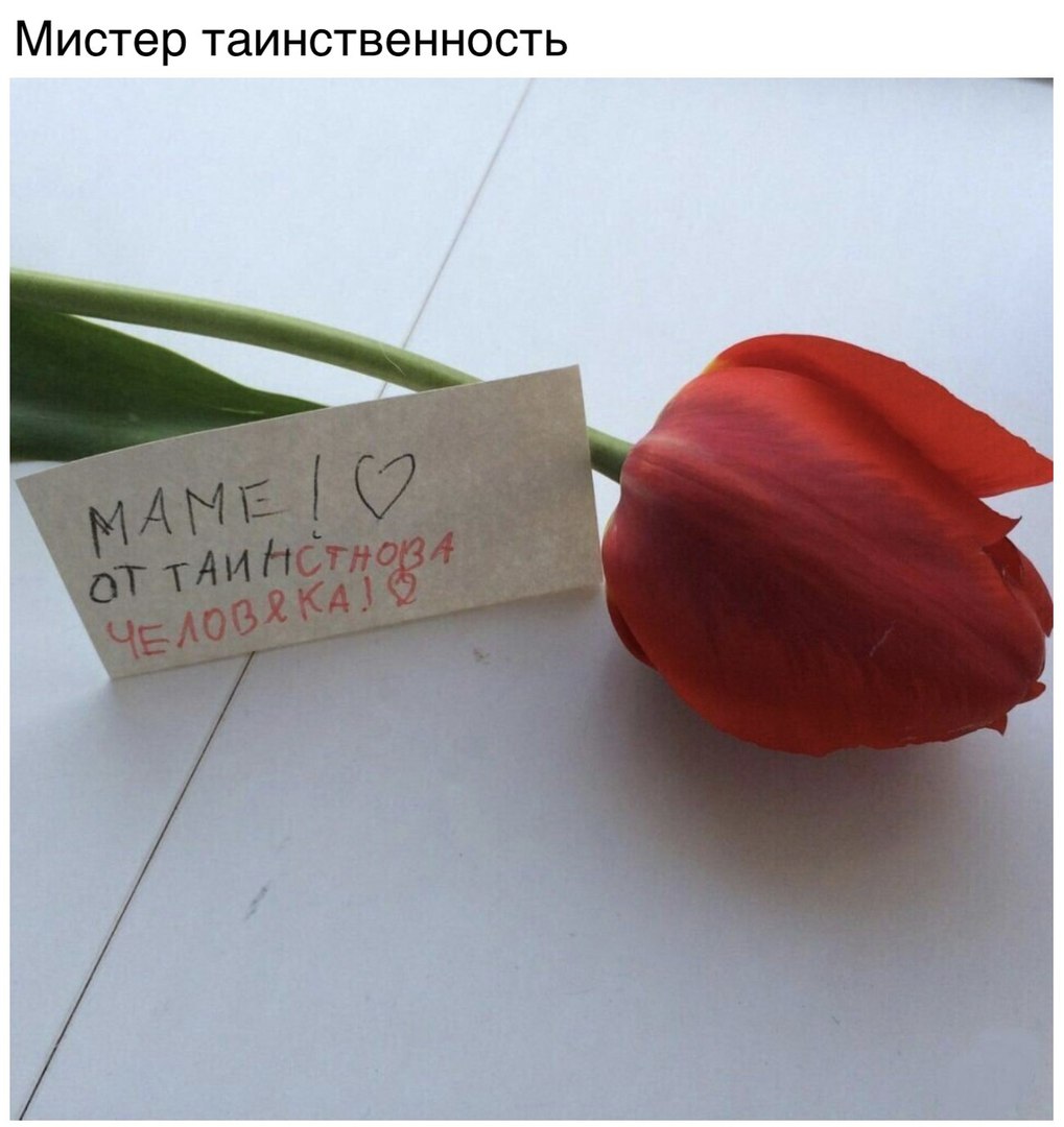 Мистер таинственность