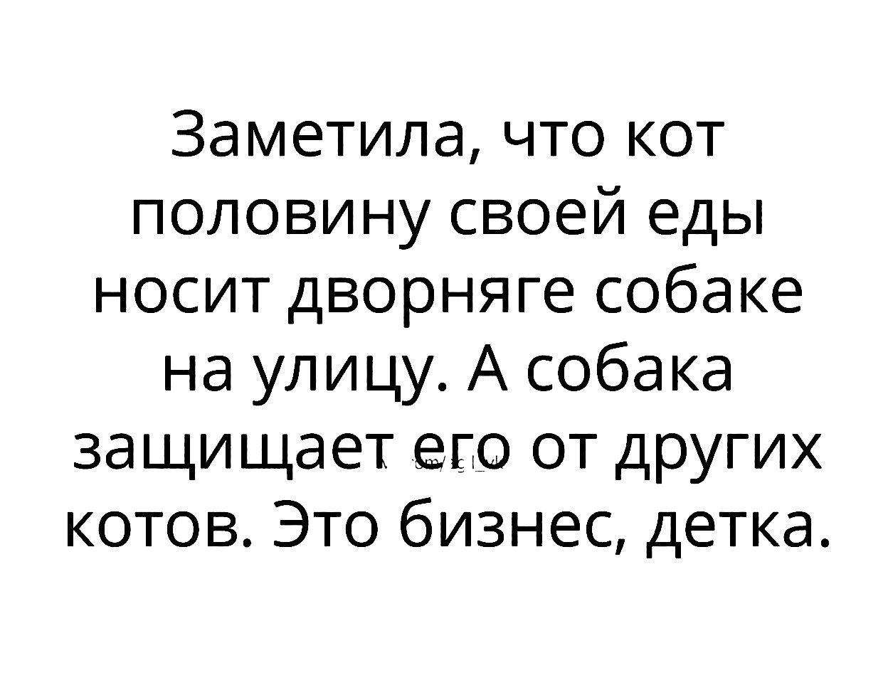 Заметила что кот половину своей еды носит дворняге собаке на улицу А собака защищает его от других котов Это бизнес детка