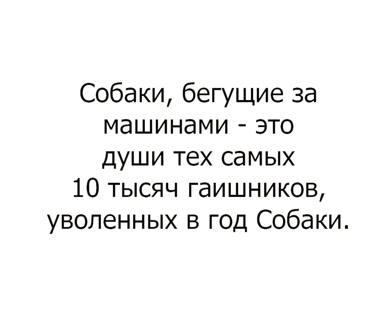 Собаки бегущие за машинами это души тех самых 10 тысяч гаишников уволенных  в год Собаки - выпуск №22236