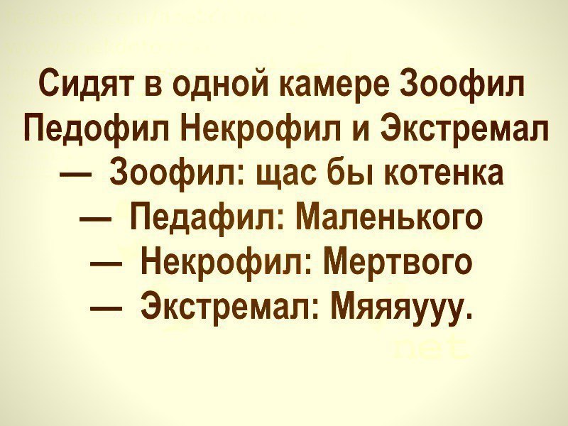 Сидят в одной камере Зоофил Педофил Некрофип и Экстремал Зоофил щас бы котенка Педафип Маленького Некрофип Мертвого Экстремал Мяяяууу