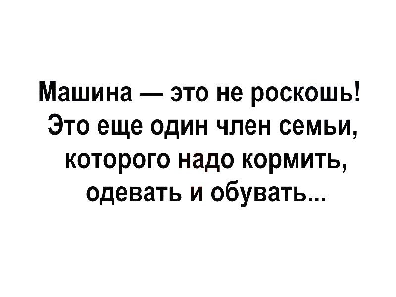 Машина это не роскошь Это еще один член семьи которого надо кормить одевать и обувать