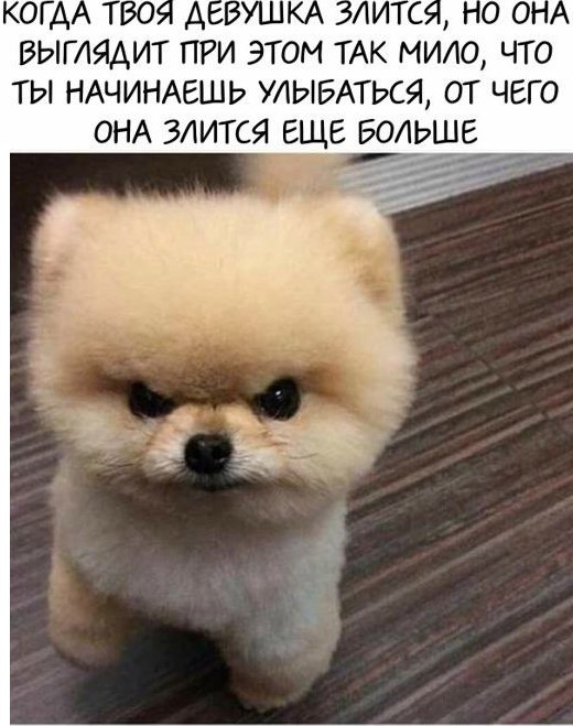 ВЫГАЯАИТ ПРИ ЭТОМ ТАК МИЮ ЧТО ТЫ НАЧИНАЕШЬ УАЫБАТЬСЯ ОТ ЧЕГО ОНА ЗАИТСЯ ЕЩЕ БОЛЬШЕ