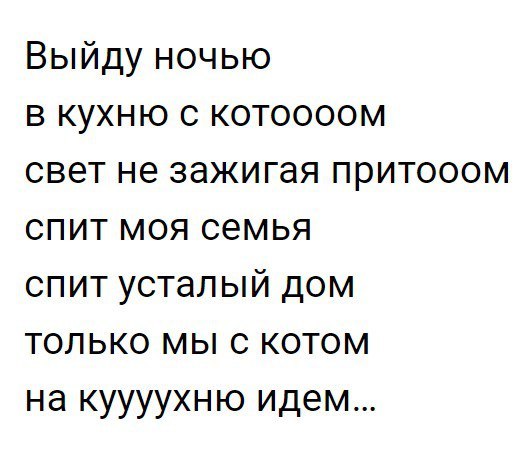 Выйду ночью в кухню с котоооом свет не зажигая притооом спит моя семья спит усталый дом только мы с котом на куууухню идем
