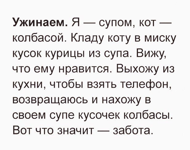 Ужинаем Я супом кот колбасой Кпаду коту в миску кусок курицы из супа Вижу что ему нравится Выхожу из кухни чтобы взять телефон возвращаюсь и нахожу в своем супе кусочек колбасы Вот что значит забота