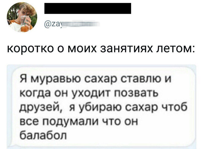 _ 233 Т КОРОТКО О МОИХ ЗЭНЯТИЯХ ЛЕТОМ Я муравью сахар ставлю и когда он уходит позвать друзей я убираю сахар чтоб все подумали что он балабоп