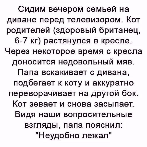 Сидим вечером семьей на диване перед телевизором Кот родителей здоровый британец 6 7 кг растянулся в кресле Через некоторое время с кресла доносится недовольный мяв Папа вскакивает с дивана подбегает к коту и аккуратно переворачивает на другой бок Кот зевает и снова засыпает Видя наши вопросительные взгляды папа пояснил Неудобно лежал