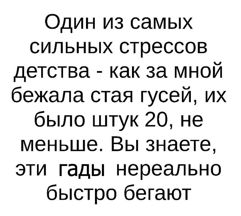 Один из самых сильных стрессов детства как за мной бежала стая гусей их было штук 20 не меньше Вы знаете эти гады нереально быстро бегают