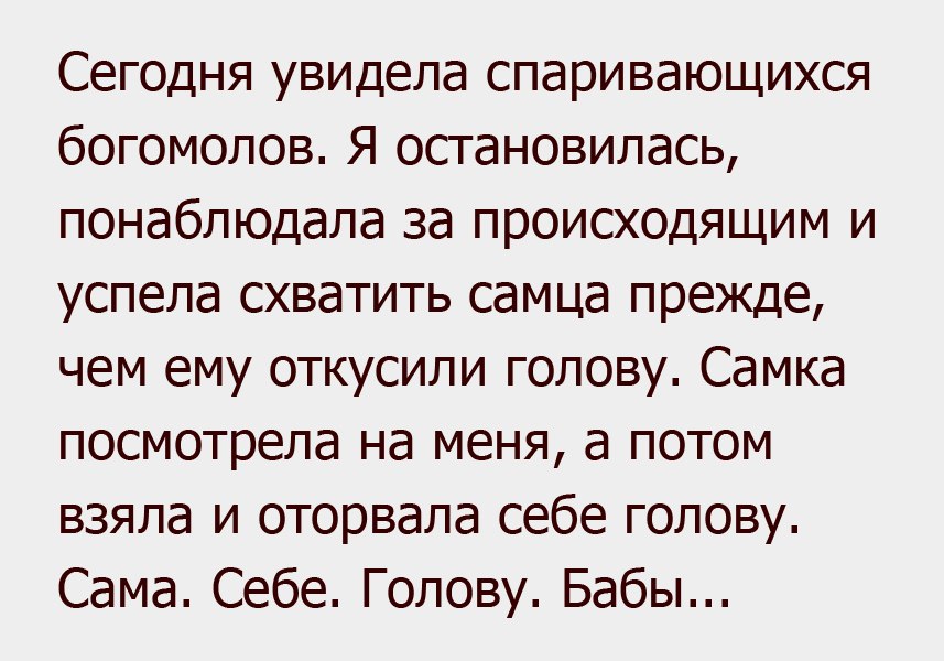 Сегодня увидела спаривающихся богомолов Я остановилась понаблюдала за происходящим и успела схватить самца прежде чем ему откусили голову Самка посмотрела на меня а потом взяла и оторвала себе голову Сама Себе Голову Бабы