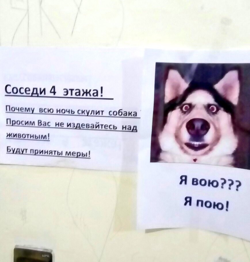 Соседи 4 этажа Почему всю ночь скупит собака П росим Вас не издевайтесь над животным В п иияты ме ы Я всю Я поюр