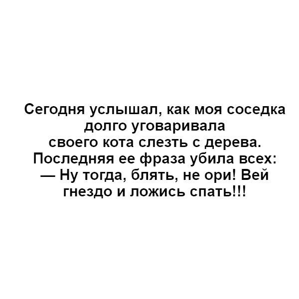 Сегодня услышал как моя соседка долго уговаривала своего кота слезть с дерева Последняя ее фраза убила всех Ну тогда блять не ори Вей гнездо и ложись спать