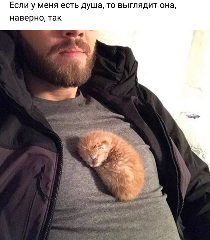 Если у меня есть душа то выглядит она наверно так