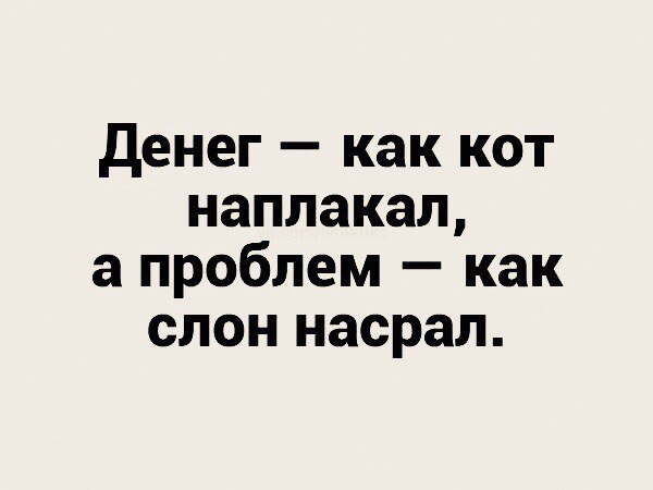 денег как кот наплакал а проблем как слон насрал