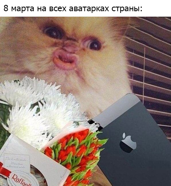 8 марта на ВСЕХ аватарках страны