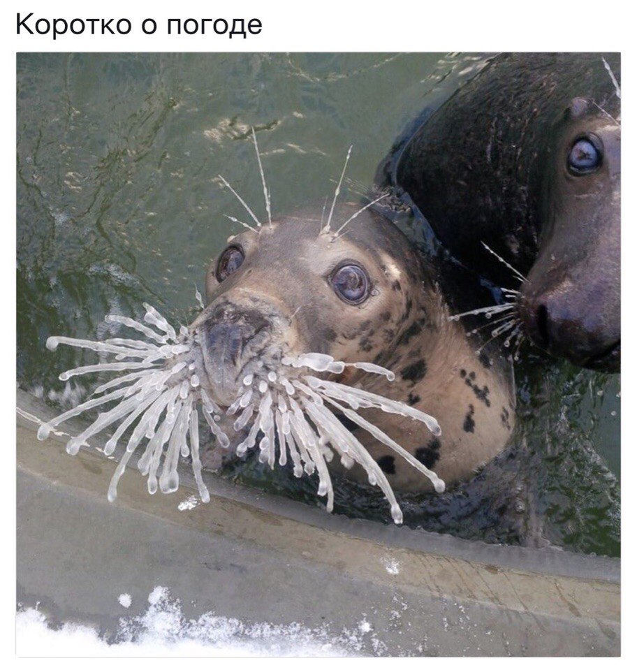Коротко о погоде