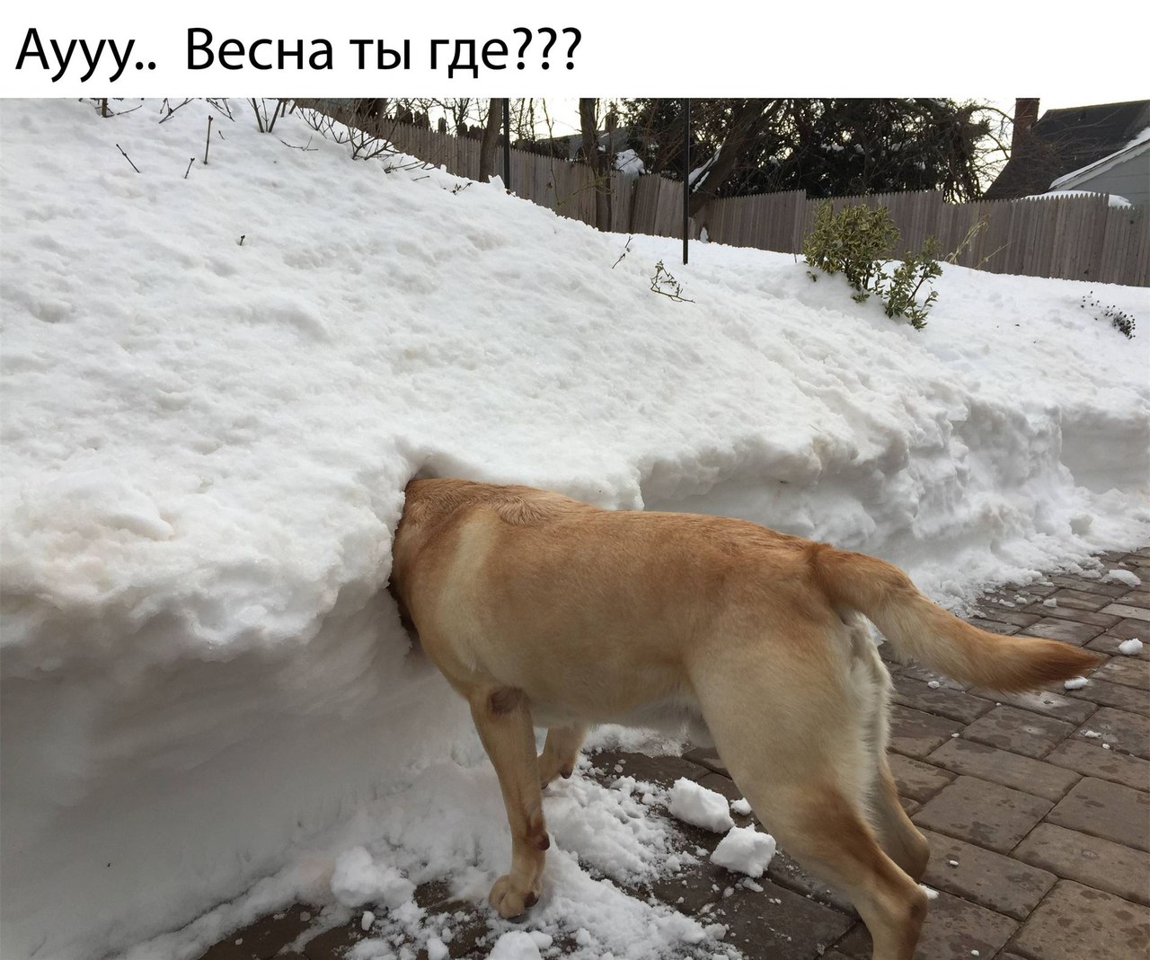 Аууу_ Весна ты где